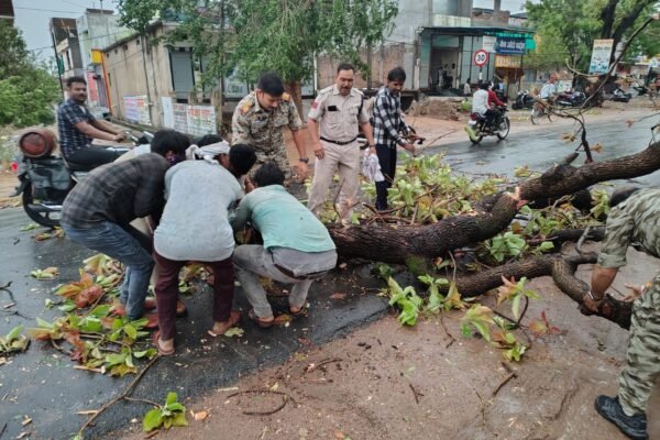 टीकमगढ़ पुलिस द्वारा विगत दिवस शहर में आए आंधी तूफ़ान से अस्त व्यस्त हुई सड़क एवं सार्वजनिक स्थानों की व्यवस्था को प्रशासन एवं आमजन के सहयोग से करवाया दुरुस्त